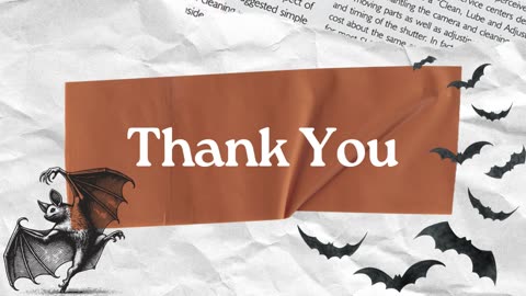 Safe & Humane Bat Removal Solutions