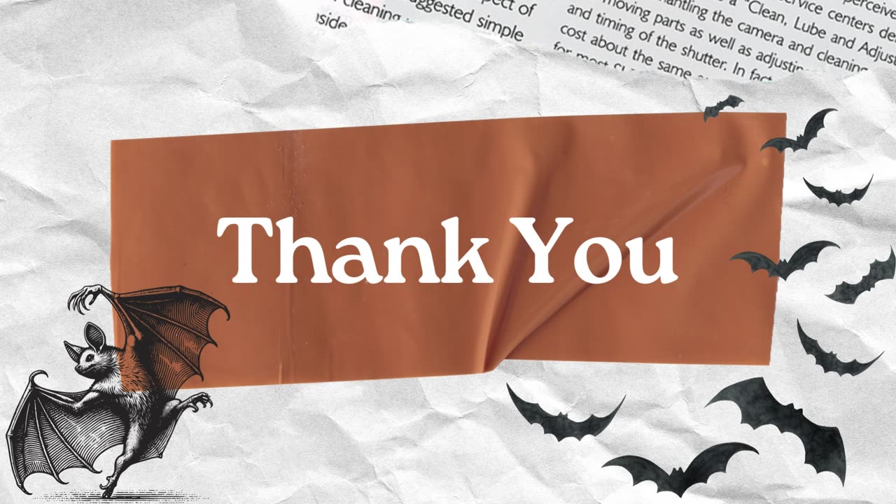 Safe & Humane Bat Removal Solutions