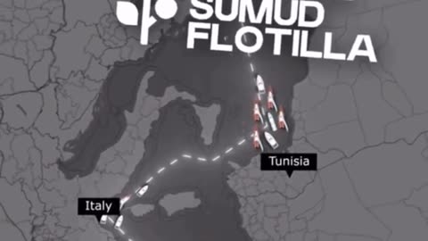 From every shore to Gaza’s coast, solidarity sails stronger than siege. 🇵🇸✊