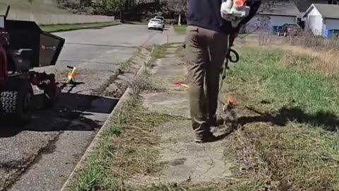 Man is detained by police for mowing an 80-year-old widow's lawn