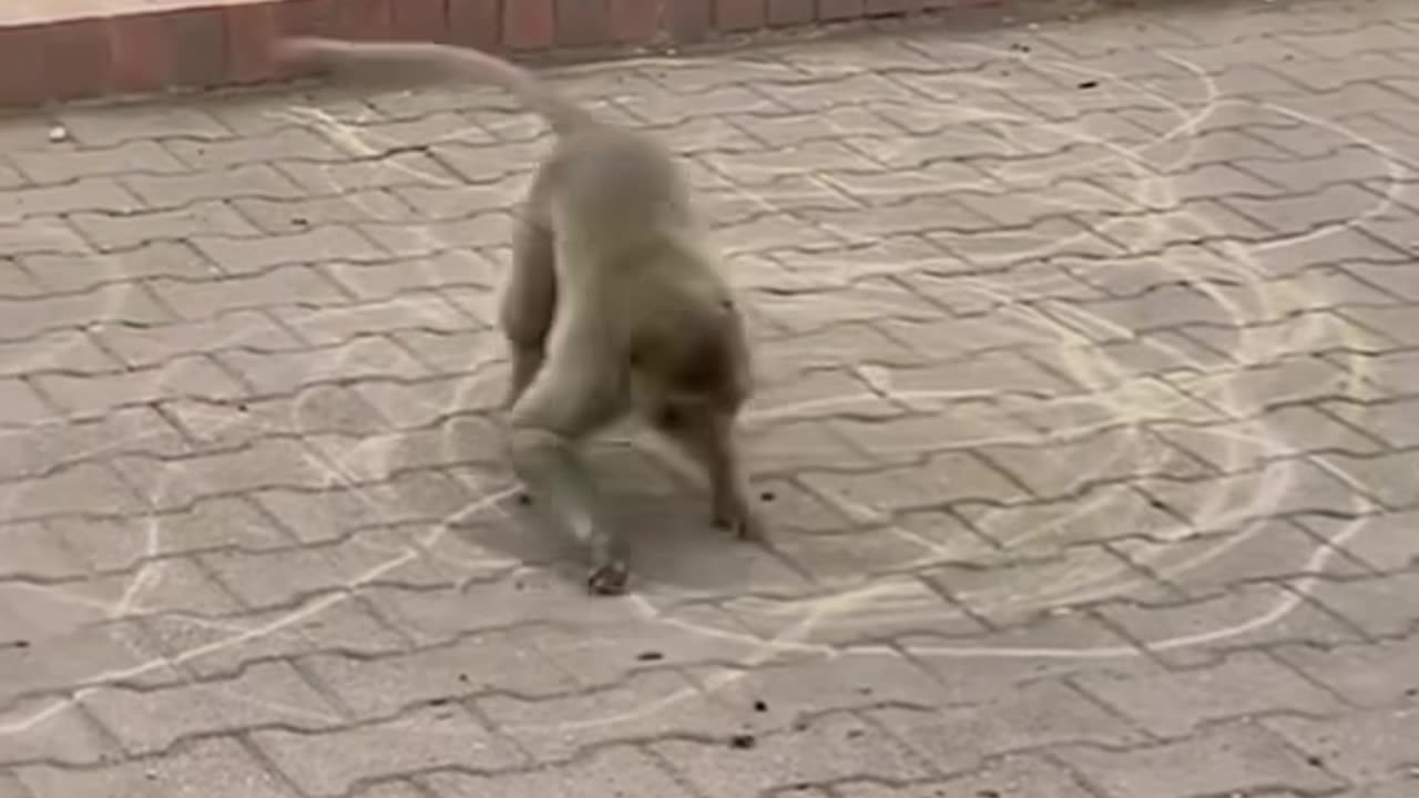 How to make tik tok funny shorts viral video