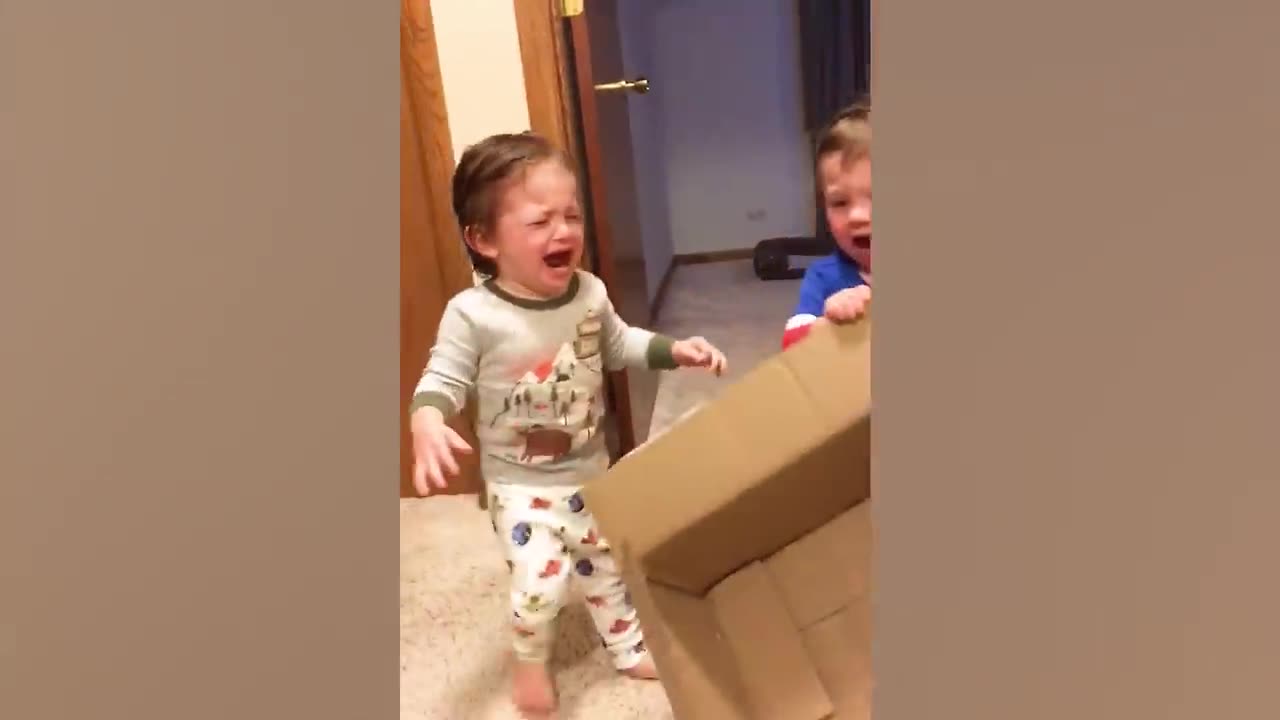 POV: You thought having twins would be cute and calm