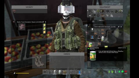 DayZ PVE