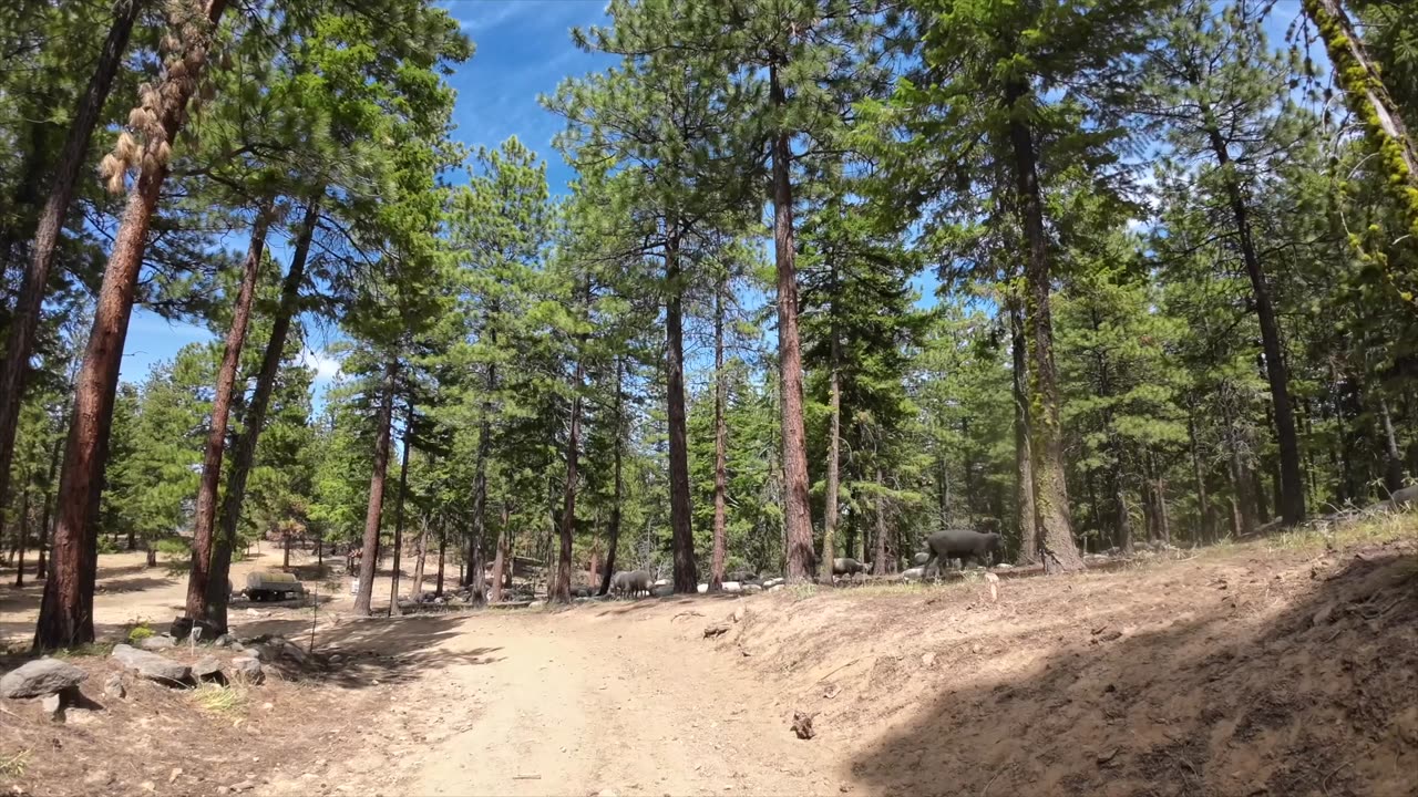 Pre-ride-Route07-rally