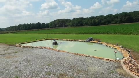 Pond Pots Cut In Half for a flow to the pond.