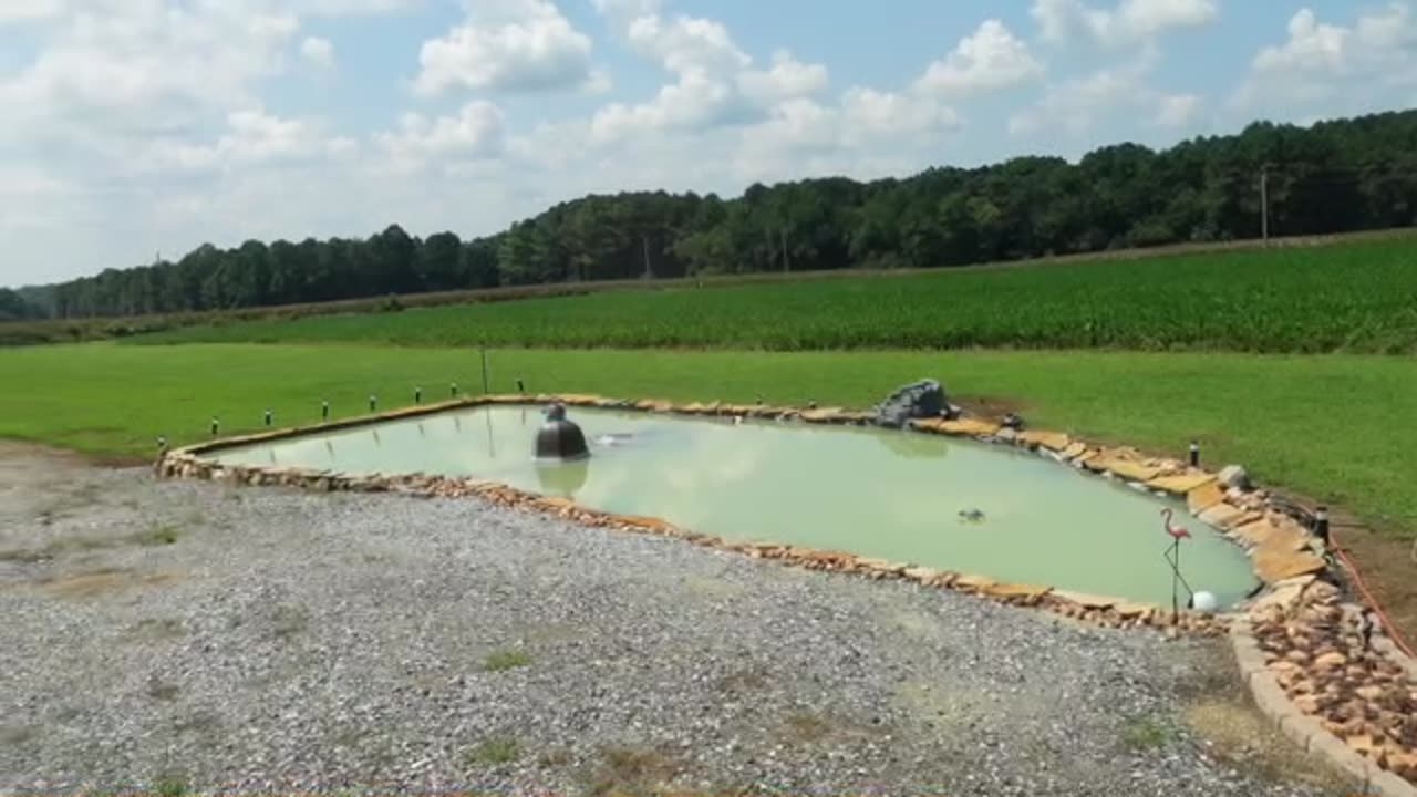 Pond Pots Cut In Half for a flow to the pond.
