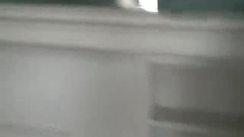 rental northlawn HOUSE ON THE SHEA SHOW