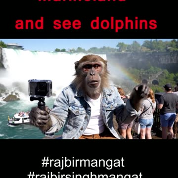 Niagara Falls Tour with Cruise and Behind The Falls