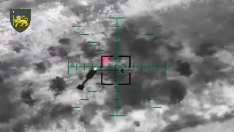 Ukrainian Bomber Drones Drop Dozens of Shells On Russian Infantry