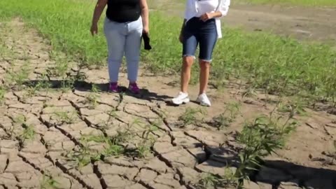 La hidrovía Paraná-Paraguay y su impacto en las comunidades locales