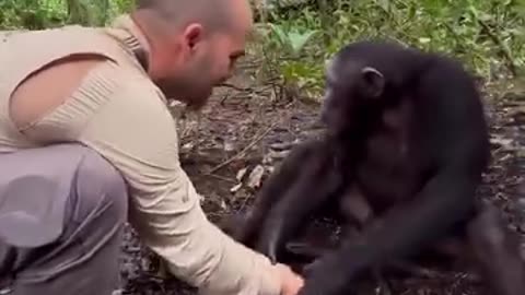 Animal kindness..