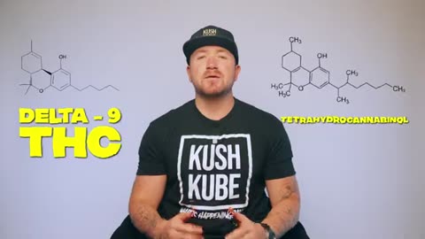 Delta 9 thc gummies online