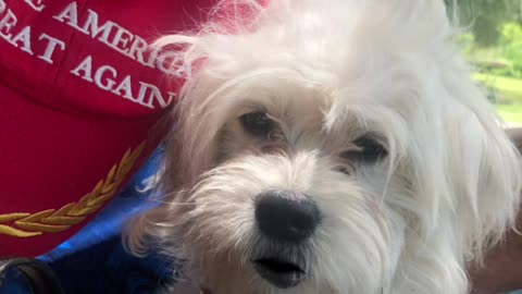 Patriot Loulou news 🗞️ MAGA, Loulou went inside WOKE CRACKER BARREL 🤮 etc