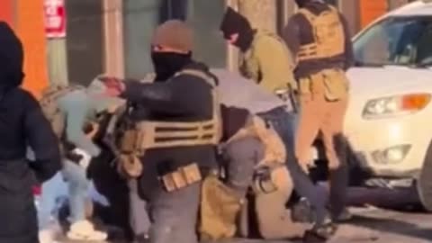 Alex Pretti shooting