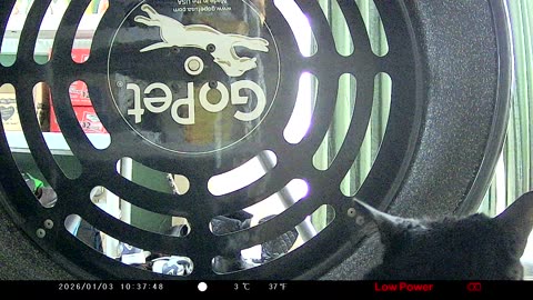 Cookie Cutter The Cat Random Footage, Filmed By KJK JDL201, Dbn, MI, Dec. 30, 2025 To Jan. 3, 2026