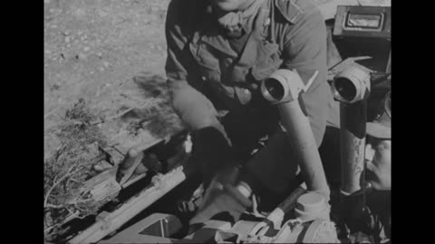 Sd. Kfz. 233 Stummel 8x8 reconnaissance support variant armed with a 75mm gun in Tunisia in 1942