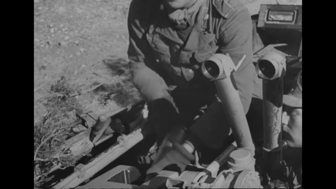 Sd. Kfz. 233 Stummel 8x8 reconnaissance support variant armed with a 75mm gun in Tunisia in 1942