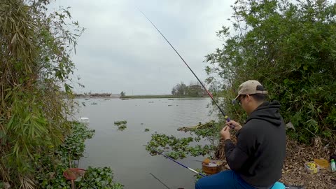 Trout Leaps in the Crystal Spray