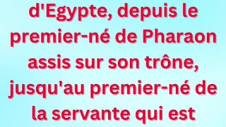 « Jugement ultime sur l’Égypte » exodus 11:5,6 #shortvideo #shorts #youtube #youtubeshorts #ytshorts