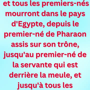 « Jugement ultime sur l’Égypte » exodus 11:5,6 #shortvideo #shorts #youtube #youtubeshorts #ytshorts