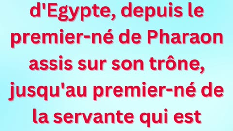 « Jugement ultime sur l’Égypte » exodus 11:5,6 #shortvideo #shorts #youtube #youtubeshorts #ytshorts
