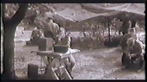 D107. Soviet Dive Bombers2