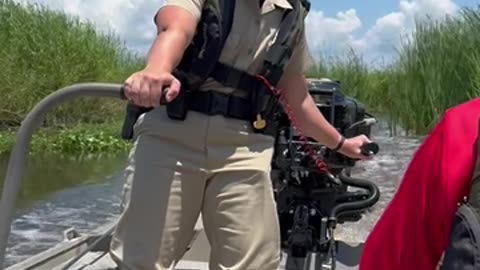 Moving through the marsh