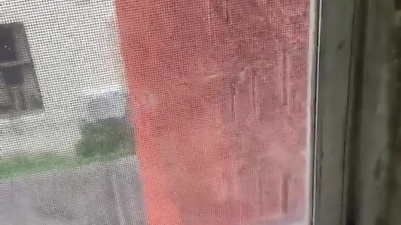 🤯✨ The Most Spectacular Thing You'll Ever See! | FeedMyCuriosity
