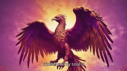 Shine Through Me