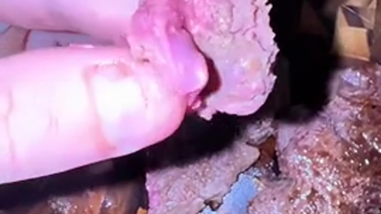 American just got this steak from Publix After cooking it, he shows the steak