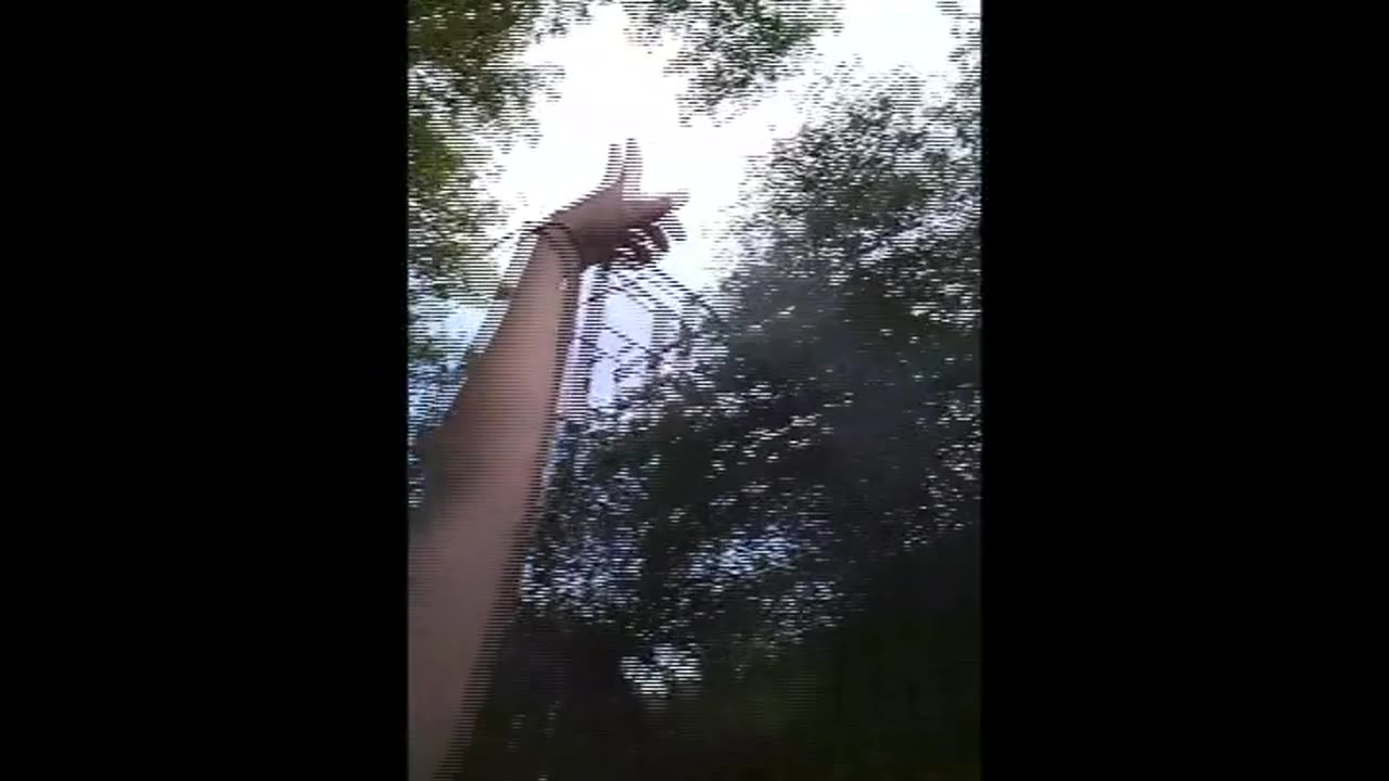 British Summer Dreaming: freedom version 🎧 ~remix for california dreaming track