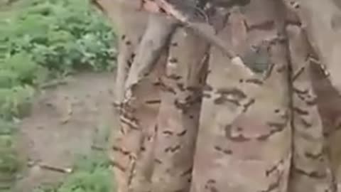 🛸🇷🇺 Ukraine Russia War | Russian Drone Defense Training | RCF