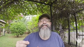 Breaking Down Business Ideas for Expats in Nicaragua 🇳🇮