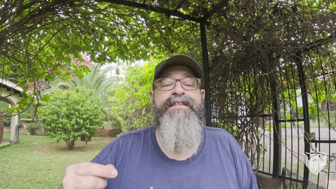 Breaking Down Business Ideas for Expats in Nicaragua 🇳🇮