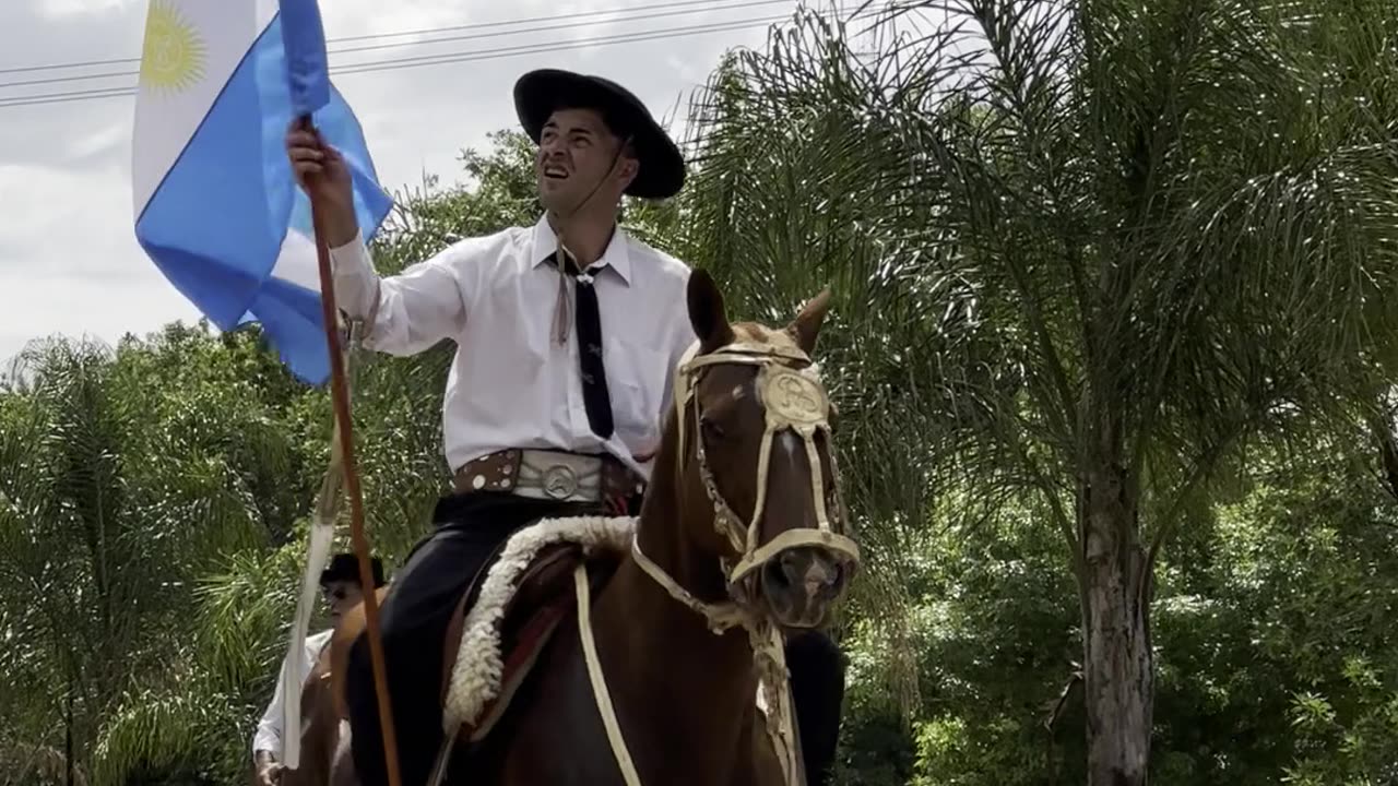 Argentine Criollo Horse in Argentina
