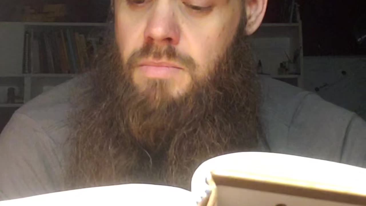 Bible Story: Manna From Heaven