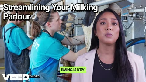 Streamlining Your Milking Parlour:Boost Efficiency,Save Time,and Improve Cow Health