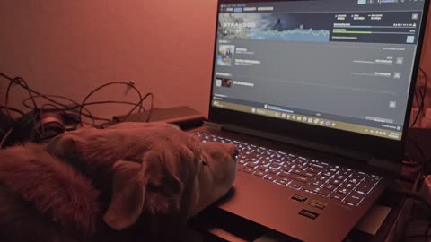 Bran is downloading Stranded Alien Dawn