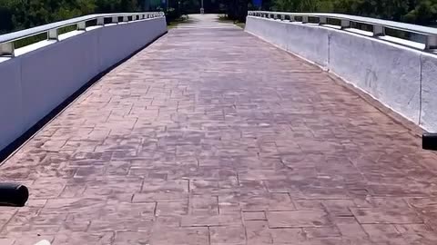 Old Glory Waves as You Enter Veterans Memorial Island Sanctuary Vero Beach FL 👉Great Place to Walk!