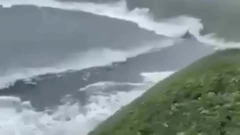 News, Russian far east, tsunami waves captured by a man walking his dog