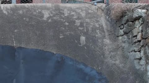 🤯🛹 Hectic Spot! Did He Make It? | SkateNation