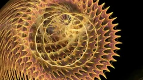 ElectricFlockis Chillhop Moments