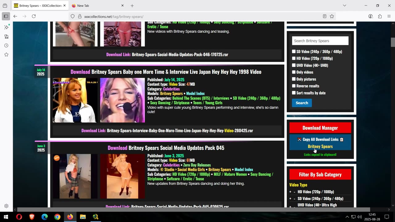 Quick Guide how to use Jdownloader2