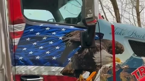 Donald Trump Art on Big Rig Truck!