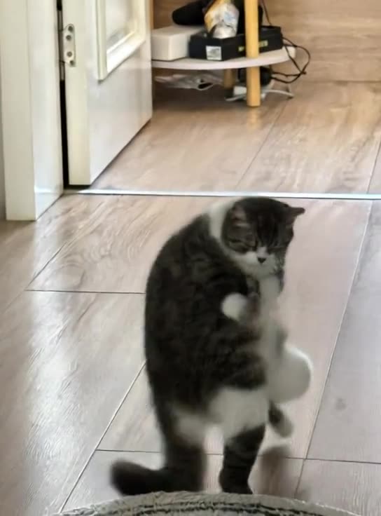 “🍶 Mimi, I Drank Two Taels! 😂 | Funny Short Clip”