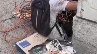 Daño a semáforo en Cartagena