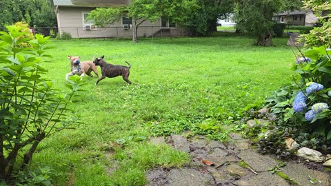 Playing In The Rain