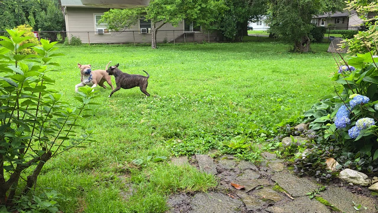 Playing In The Rain
