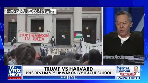 ‘The Five’ on how Trump admin will go about revoking visas