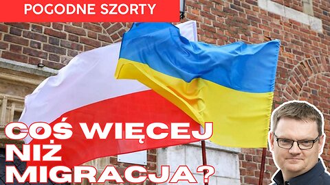 Migracja czy coś więcej? | Pogodne Szorty #265